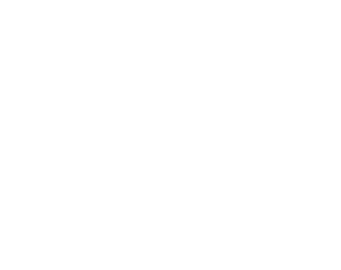 Marazul Consultancy Group